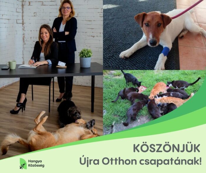 Állatmentő adományaink – 2025 szeptember