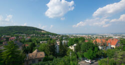 PANORÁMÁS, VILÁGOS LAKÁS ZÖLD KÖRNYEZETBEN, A II. KERÜLETBEN!