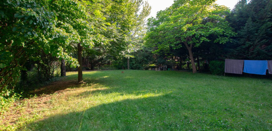 PANORÁMÁS, VILÁGOS LAKÁS ZÖLD KÖRNYEZETBEN, A II. KERÜLETBEN!