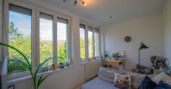 PANORÁMÁS, VILÁGOS LAKÁS ZÖLD KÖRNYEZETBEN, A II. KERÜLETBEN!