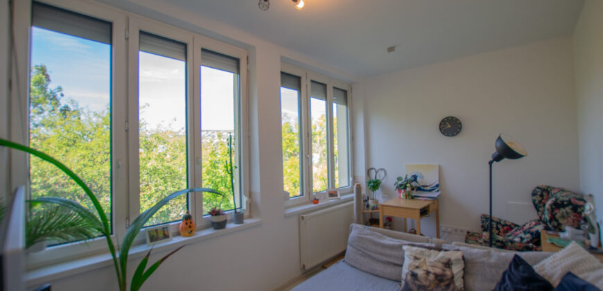 PANORÁMÁS, VILÁGOS LAKÁS ZÖLD KÖRNYEZETBEN, A II. KERÜLETBEN!