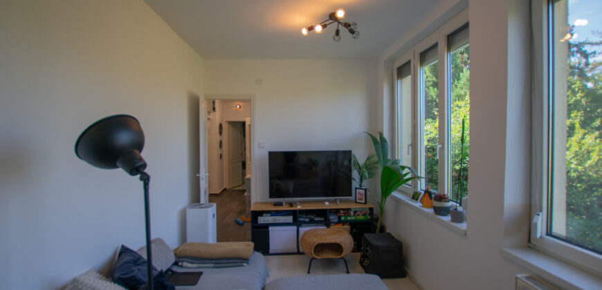 PANORÁMÁS, VILÁGOS LAKÁS ZÖLD KÖRNYEZETBEN, A II. KERÜLETBEN!