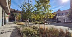 Nagy Fuvaros utcában, a körúttól 8 perc sétára emeleti, csendes lakás!