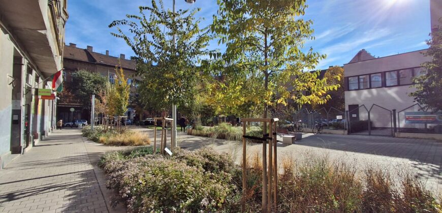 Nagy Fuvaros utcában, a körúttól 8 perc sétára emeleti, csendes lakás!