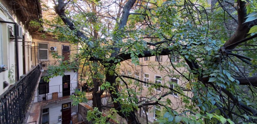 Nagy Fuvaros utcában, a körúttól 8 perc sétára emeleti, csendes lakás!