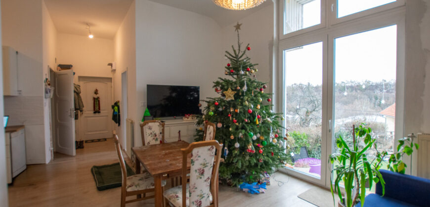 SZENTENDRE–51 nm–1+2 SZOBA–KERT–TERASZ–JÓ ÁLLAPOTÚ