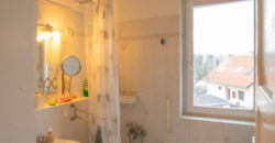 SZENTENDRE–51 nm–1+2 SZOBA–KERT–TERASZ–JÓ ÁLLAPOTÚ