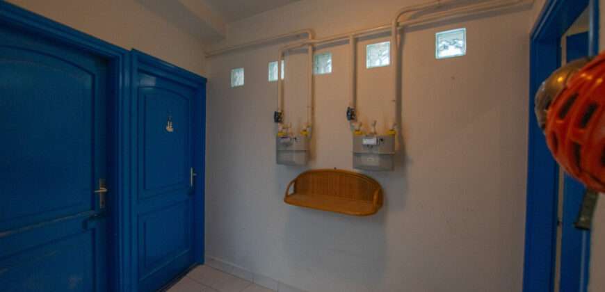 SZENTENDRE–51 nm–1+2 SZOBA–KERT–TERASZ–JÓ ÁLLAPOTÚ