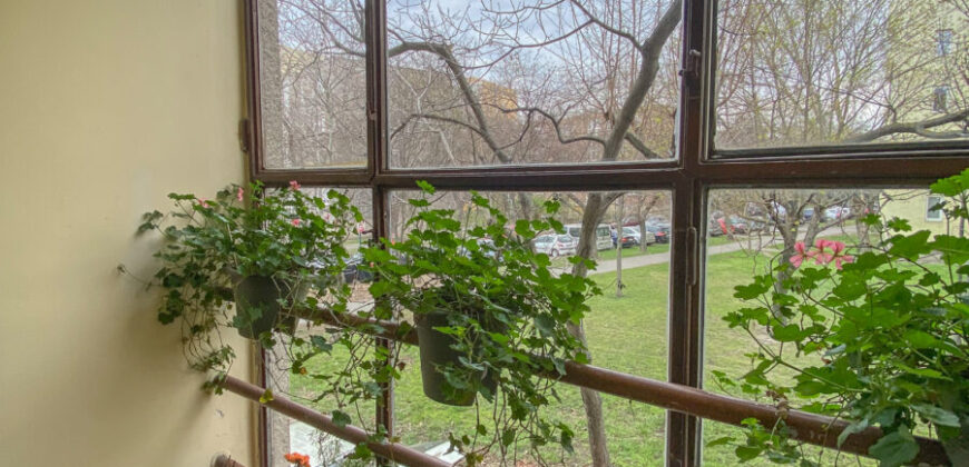 Zugló zöldövezeti részén 1+1 szobás lakás eladó