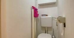 Zugló zöldövezeti részén 1+1 szobás lakás eladó