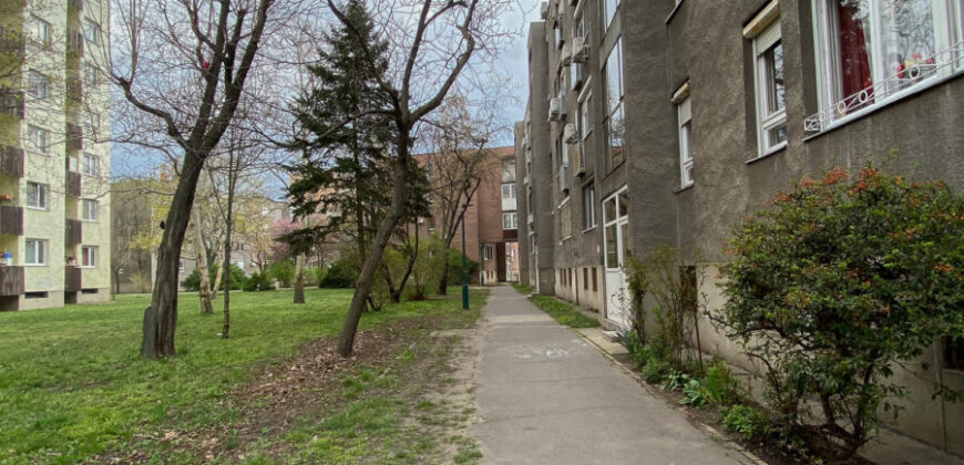 Zugló zöldövezeti részén 1+1 szobás lakás eladó